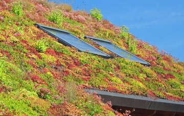 Stanton Harcourt living roof systems